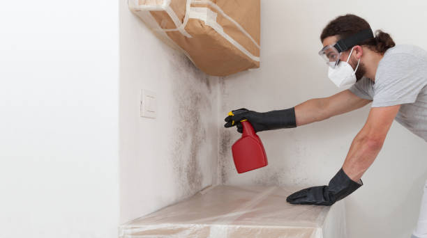 Professional Crawl Space Mold Removal technician working in Perryville, MD