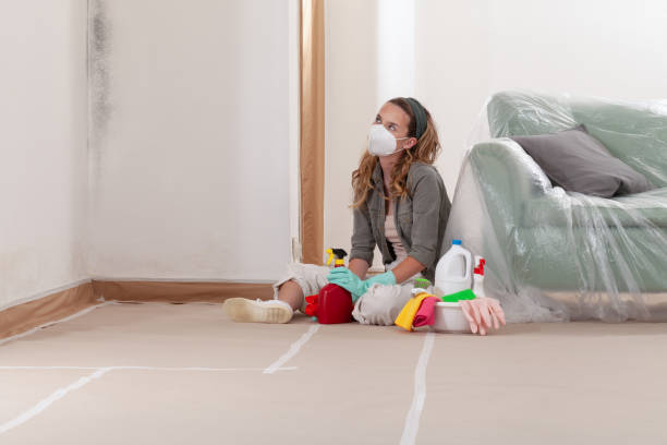 Reliable Crawl Space Mold Removal contractor in Perryville, MD by WQB Mold Removal